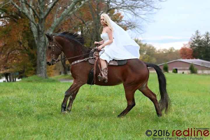 to or not to have my horses bring me to the church