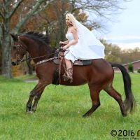 to or not to have my horses bring me to the church