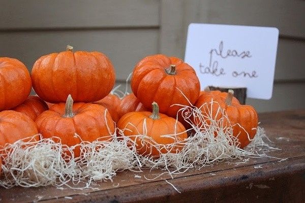 Fall Favors - Which one?