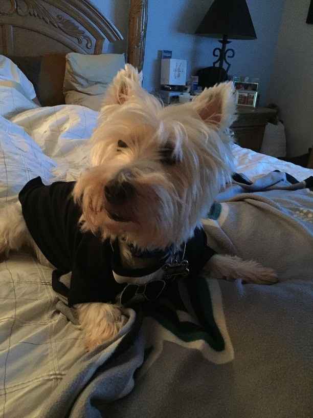 Thursday Fursday!