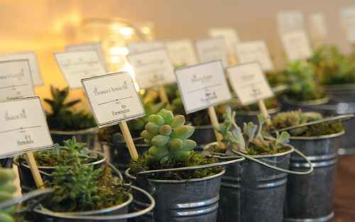 Wedding favors