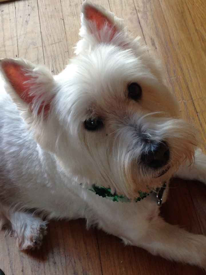NWR: post pics of your pets!!
