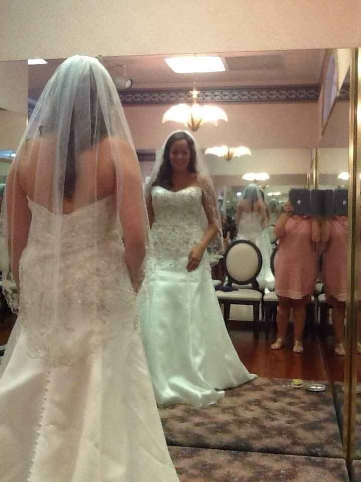 Veils