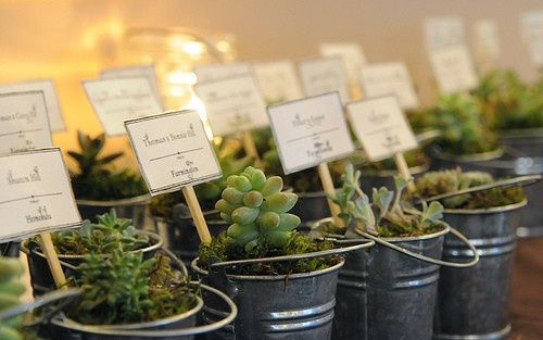 Wedding favors