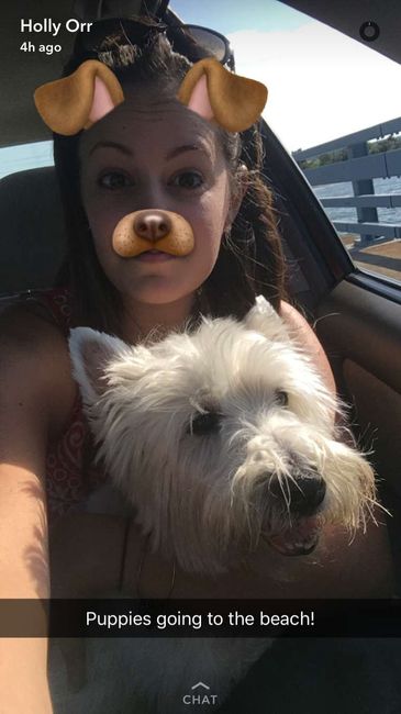 Fur Babies (Give the Best Hugs)