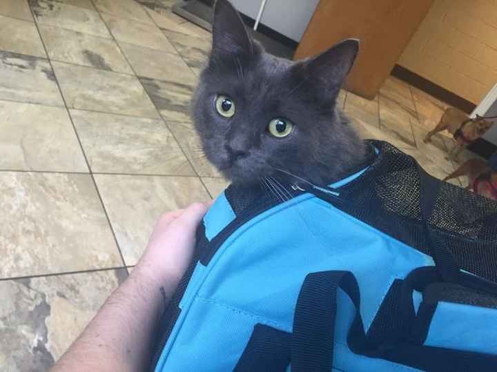 NWR- pets! We love them show me yours :)