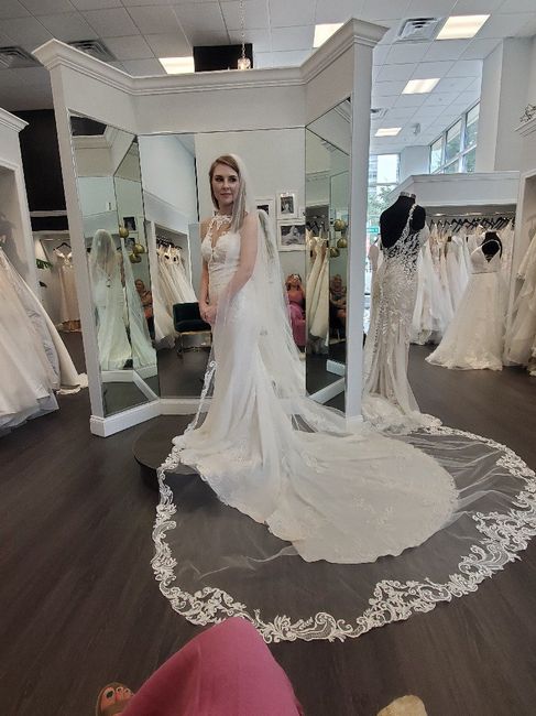 What Dresses Did You Try, And Not End Up Buying?? - 4