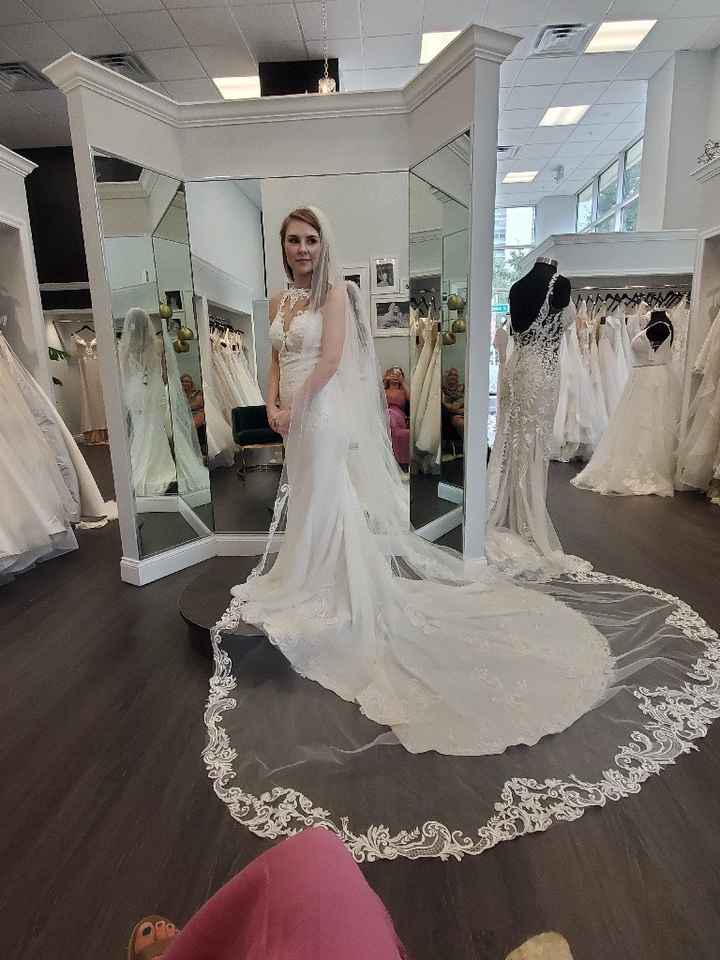 What Dresses Did You Try, And Not End Up Buying?? - 4