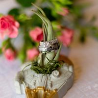 Probam! Sneak Peaks - The Coronavirus Wedding! - 5