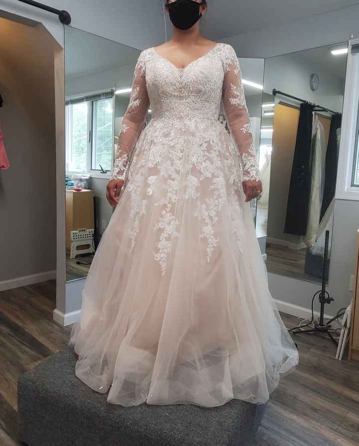 Stella York Moscato color underlay dress advice needed! 2