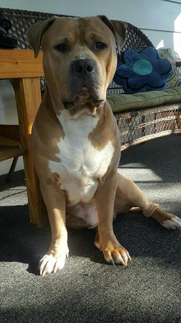 NWR: National Dog Day!