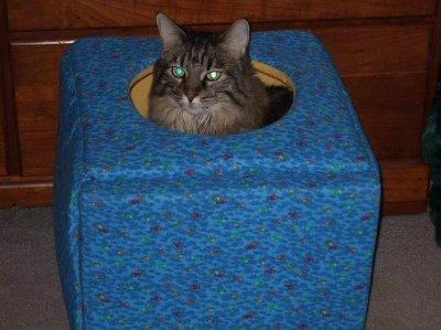 NWR: Show off your fur baby!