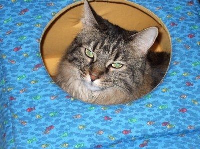 NWR: Show off your fur baby!