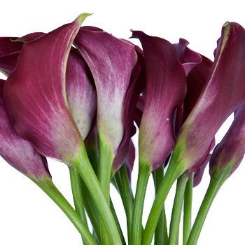 For Barbara getting married in CA, some floral ideas