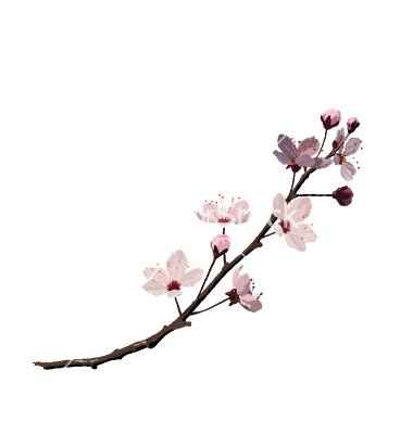 follow up~ since the FH can't help