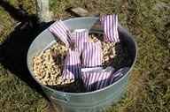 Instead of cheese/fruit and cracker trays for appetizers... this could be fun? Opinions please.