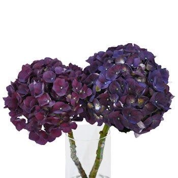 For Barbara getting married in CA, some floral ideas