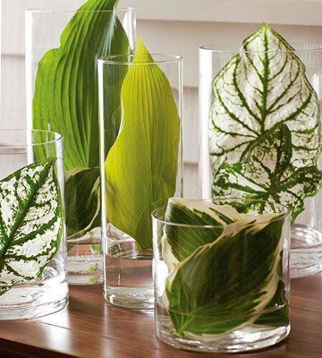 Greenery in vases