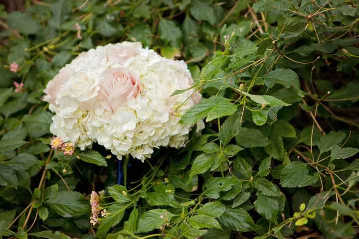Post your bouquet inspiration!