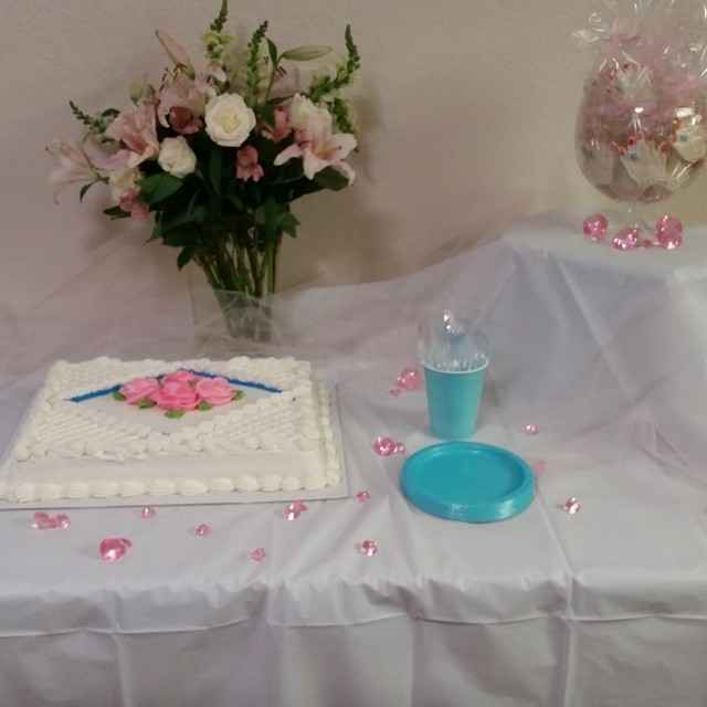 Bridal shower recap and pics