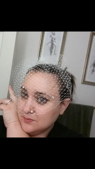 Blushers/Birdcage veils!