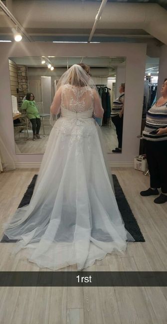 Any Plus Size Brides Out There? 5