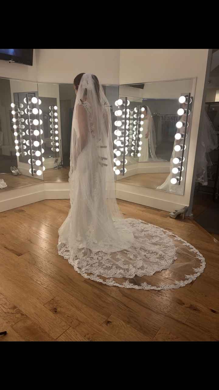 Pronovias Vs Mori Lee - 3