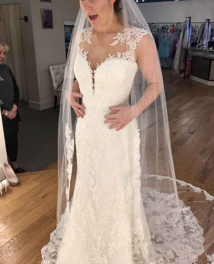 Pronovias Vs Mori Lee - 4