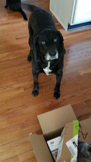 NWR: got a dog!