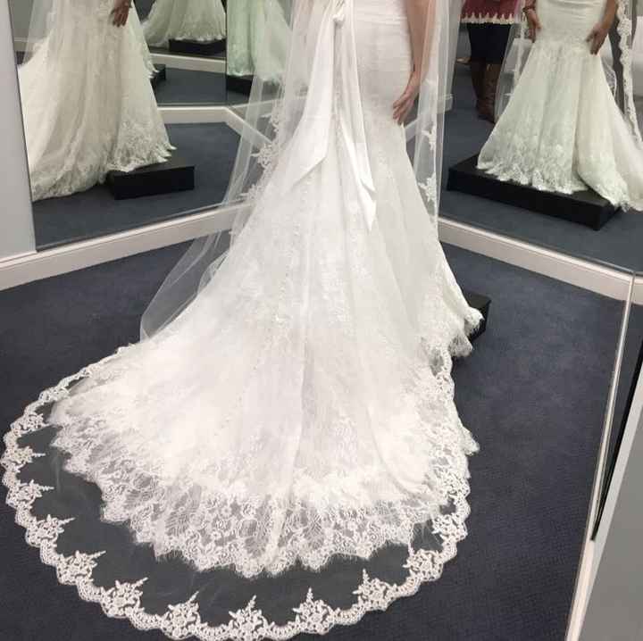 Veils