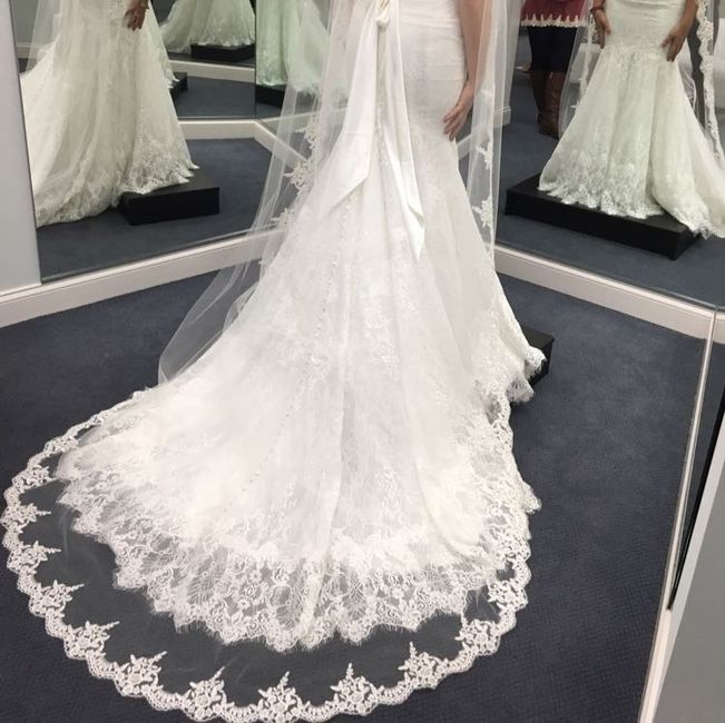 Veils