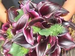 5 months! How are my fellow October brides doing?