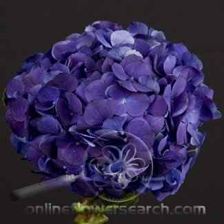 HONEST opinions welcomed