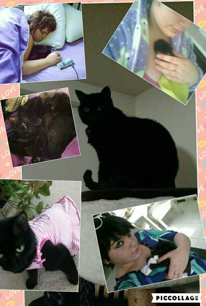 Paging all animal lovers