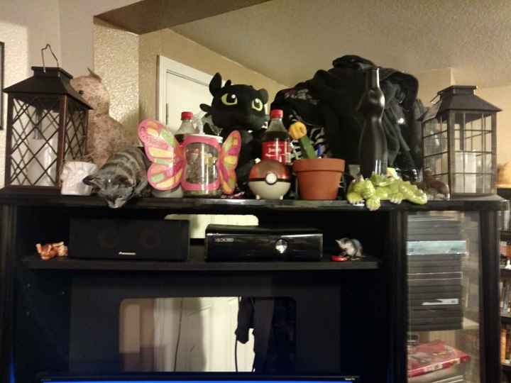 Lantern centerpieces