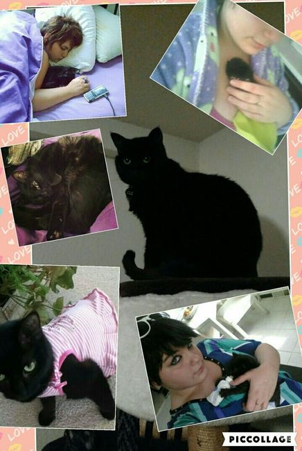 Paging all animal lovers