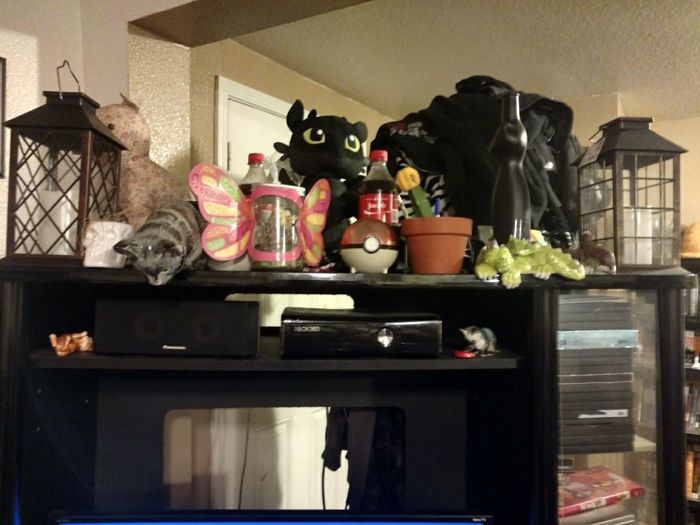 Lantern centerpieces