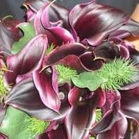 5 months! How are my fellow October brides doing?