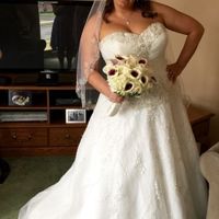 My Bam from yesterday