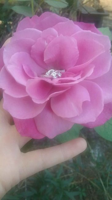 E-rings ~ show them off!