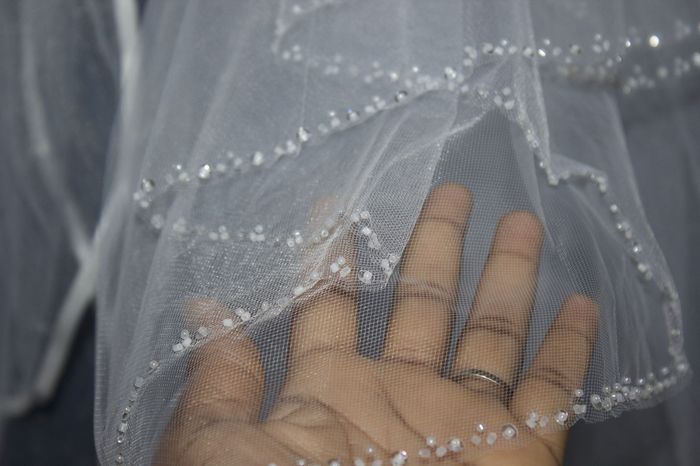 Ebay veils