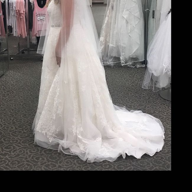 Who wants to share their gorgeous dress photos with me? - 2