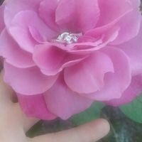 E-rings ~ show them off!