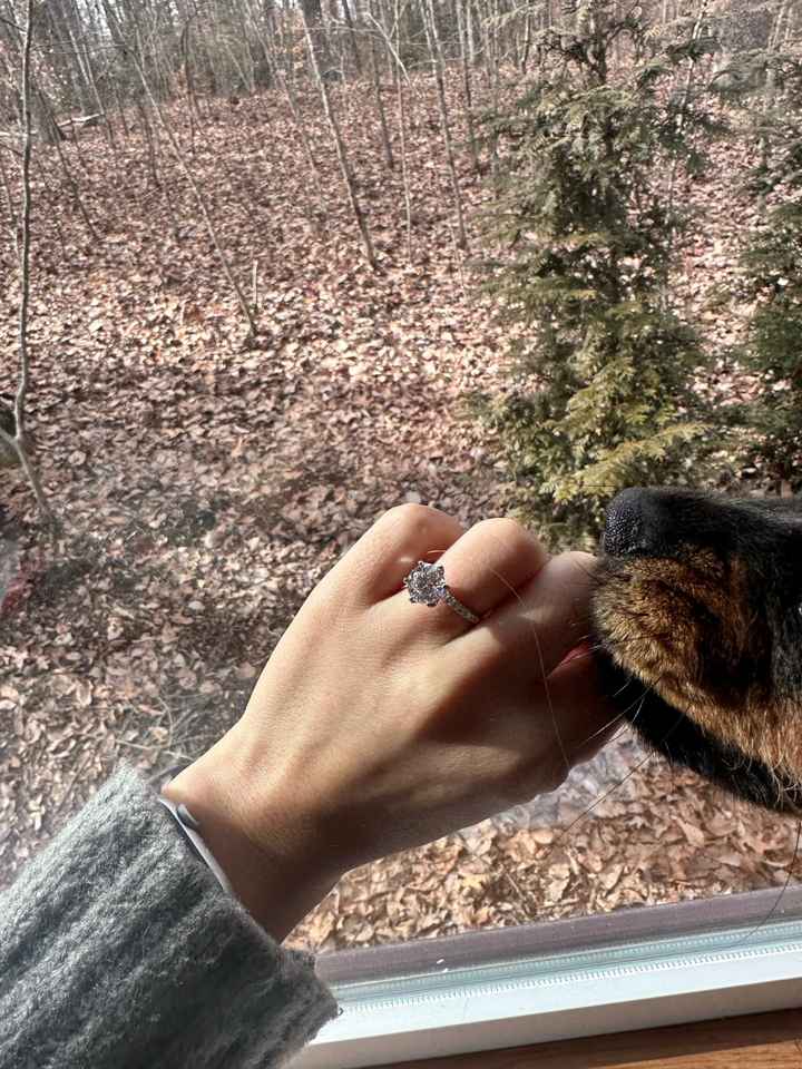 2023 Brides - Show us your ring! - 1
