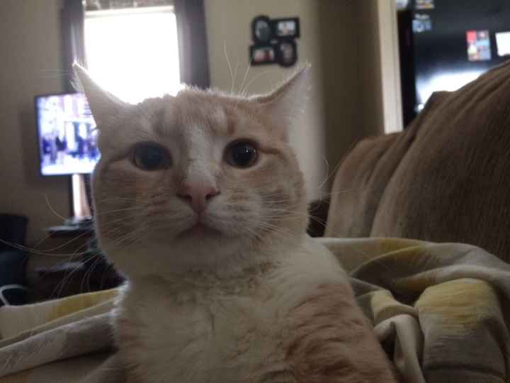 NWR: Worst. Day. Ever. Upate