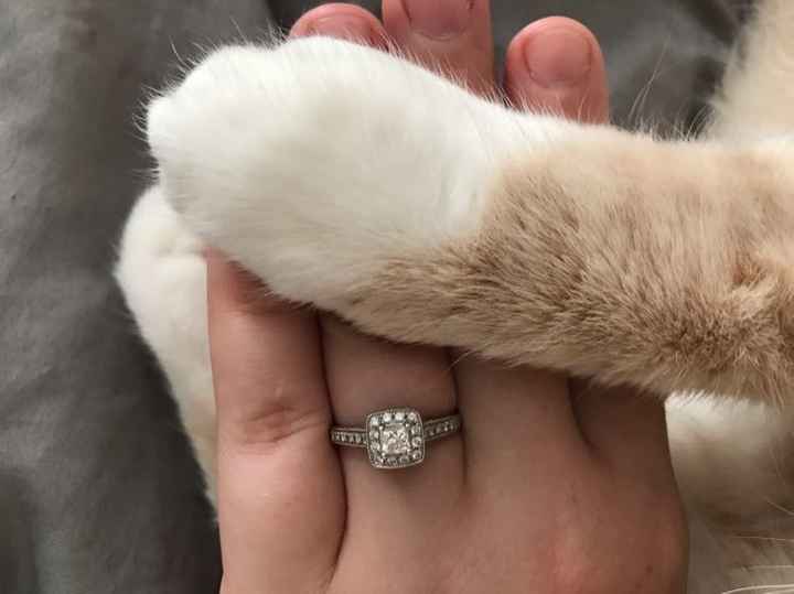 Let's see some rings!