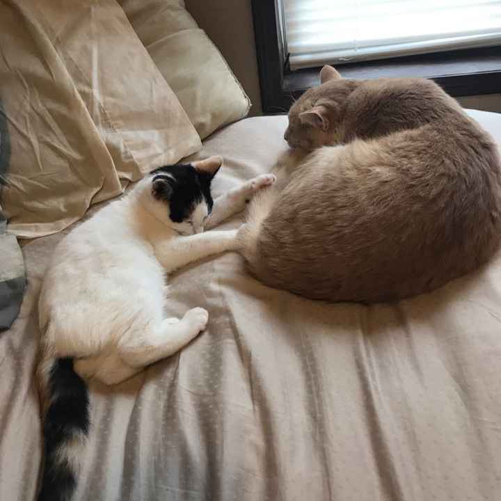 NWR: Shameless pet post!