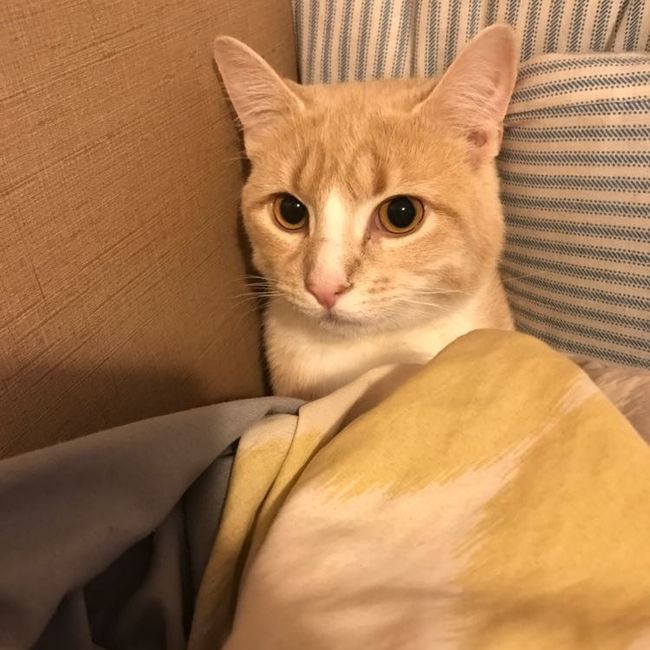 Nwr- show me your fur babies