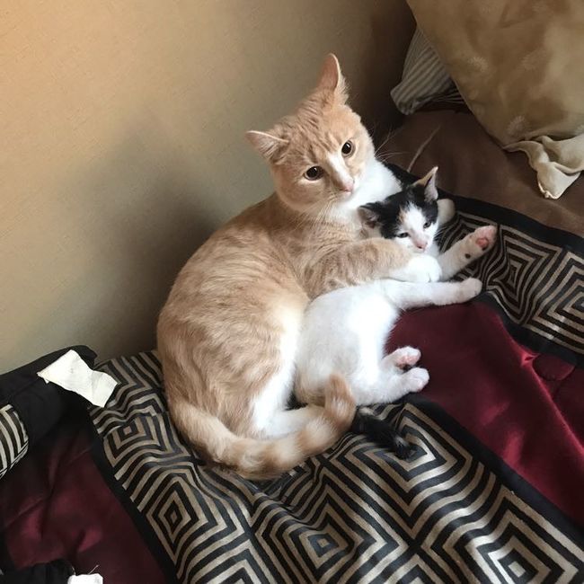 NWR:  Show me your fur babies!