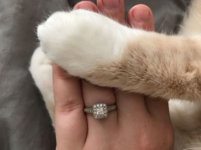 Engagement/wedding rings